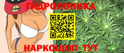 PSILOCYBIN Сланцы