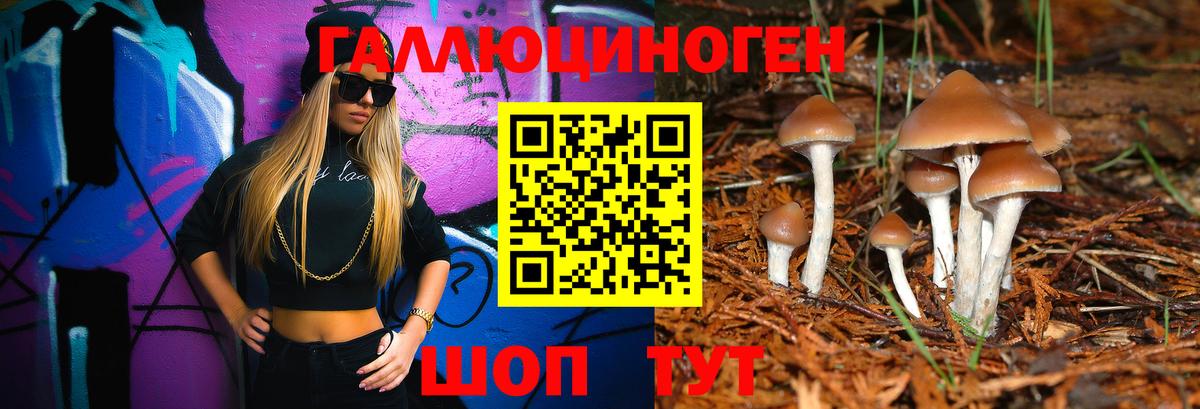 купить закладку  Псилоцибиновые грибы мухоморы  Вход с VPN  Джанкой 